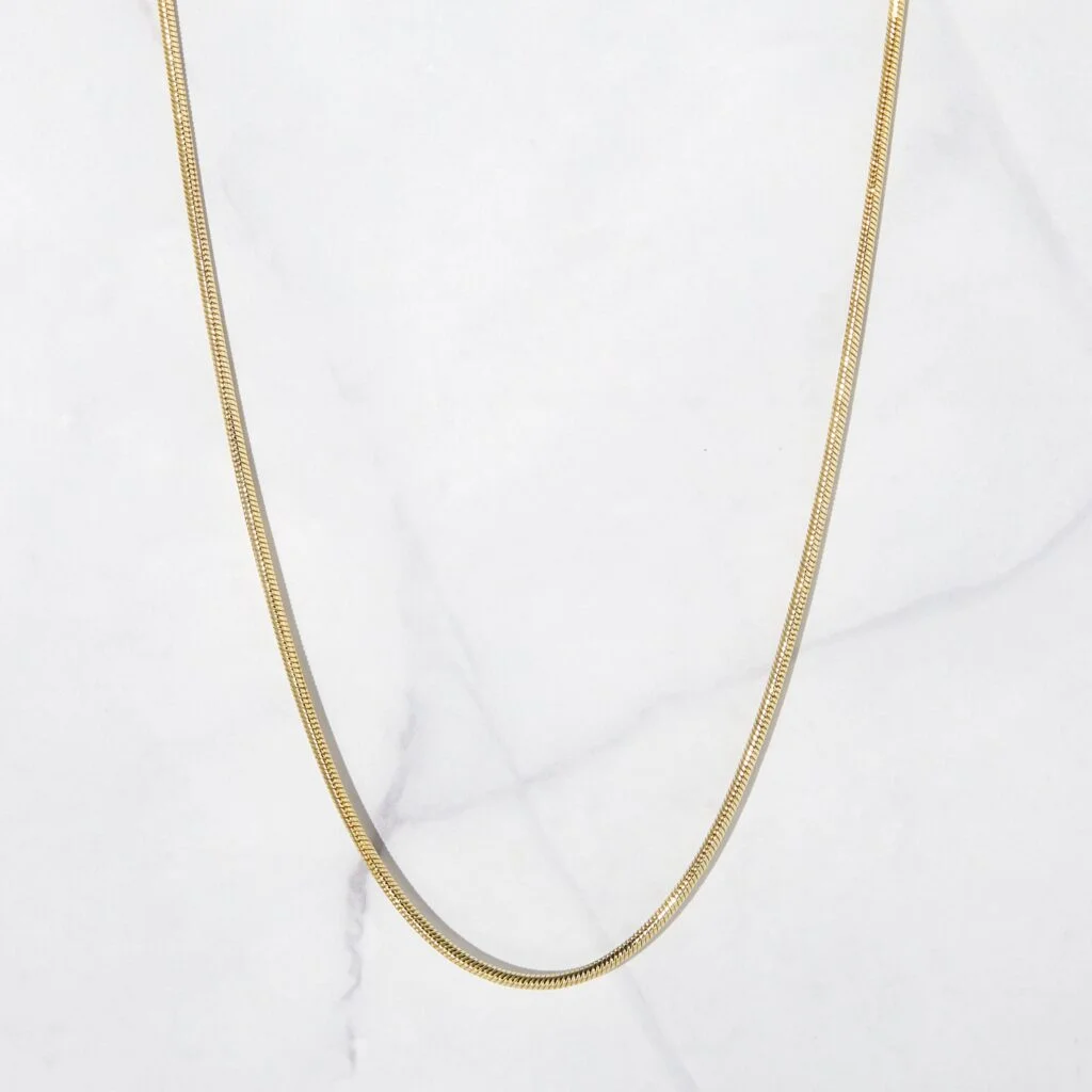 Snake Chain Necklace
